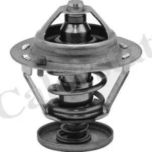 Premium Termostat, płyn chłodzący CALORSTAT BY VERNET TH6484.76J