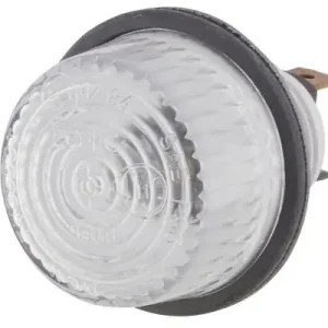 Szybka dostawa OFERTA SPECJALNA