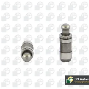 Wyjątkowa oferta Popychacze zaworowe BGA HL6371