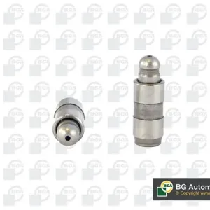 Niska cena Popychacze zaworowe BGA HL6801