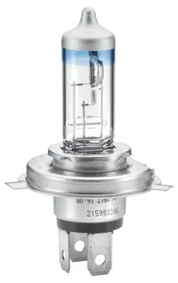 Żarówka, reflektor HELLA 8GJ 178 560-481 Oferta limitowana