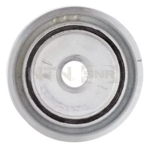 Koło pasowe SNR DPF359.34 0515V3 Zamów teraz